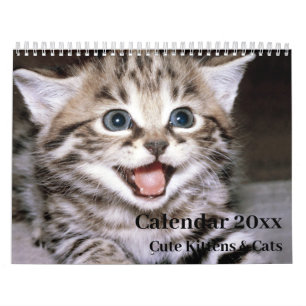 Calendrier 20xx - Chatons et chats mignons