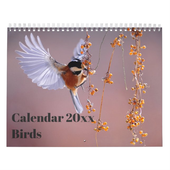 Calendrier 20xx - Oiseaux (Protection)