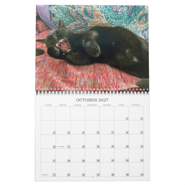 Calendrier 2 ans PA Paws 2023-2024 (Oct 2027)