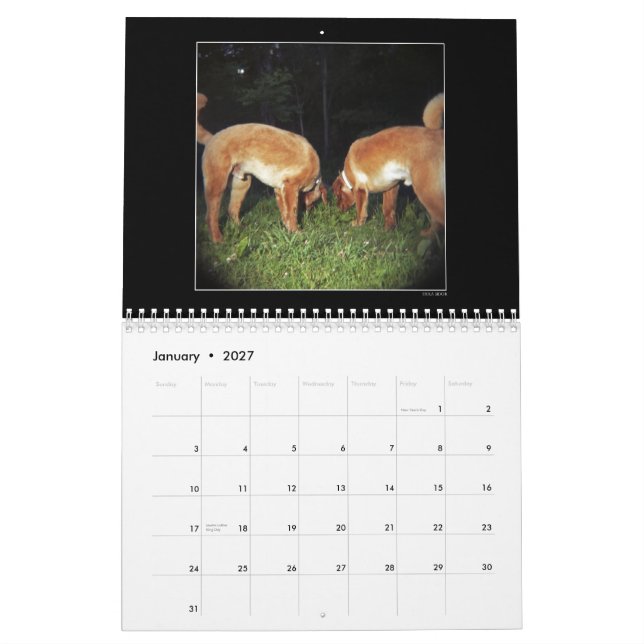 Calendrier 2 de couleur de parc de chien (Jan 2027)
