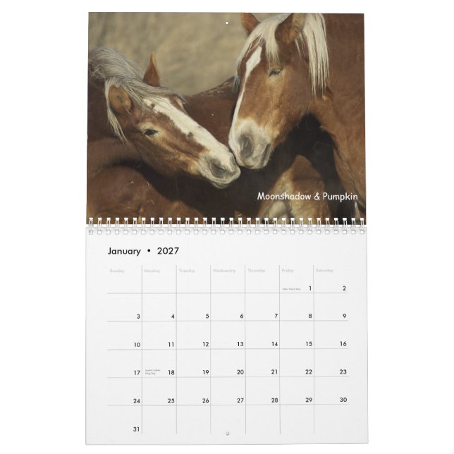 Calendrier #3 de chevaux de trait (Jan 2027)