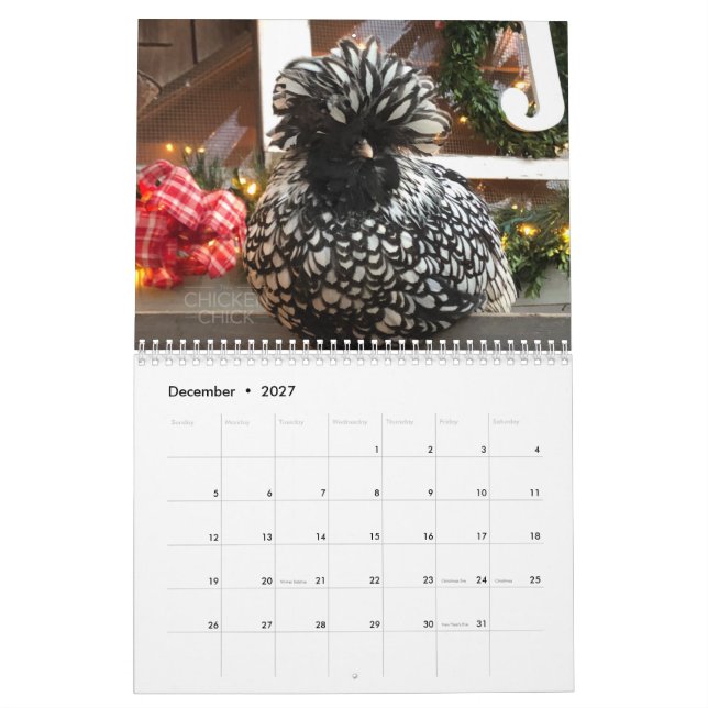Calendrier 3 : Le troupeau du poussin de poulet (Dec 2027)