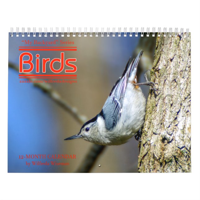 Calendrier 3ème d'oiseaux de jardin en série (Protection)