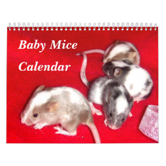 Calendrier 4 Bébé Varié Mice Grossissant
