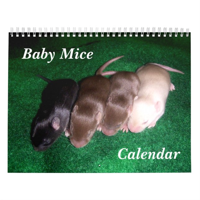 Calendrier 4 souris de bébé grandissant (Protection)