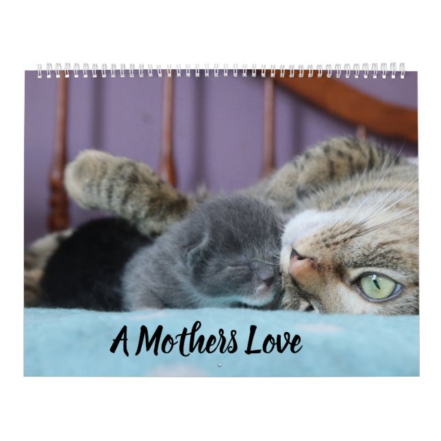 CALENDRIER A MOTHERS LOVE MAMACAT & HER KITTENS (Protection)