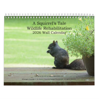 Calendrier A Squirrel's Tale 2026 Wall Calendar