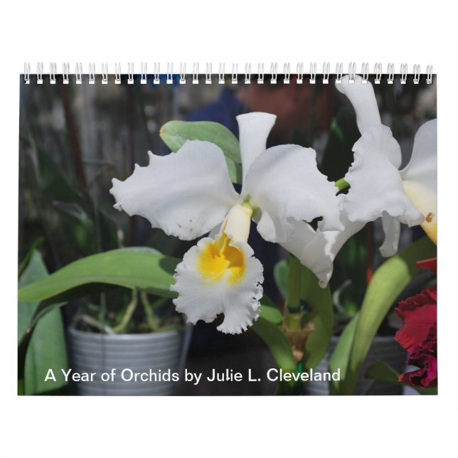 Calendrier A Year of Orchids Flower Orchid Calendar Photos (Protection)