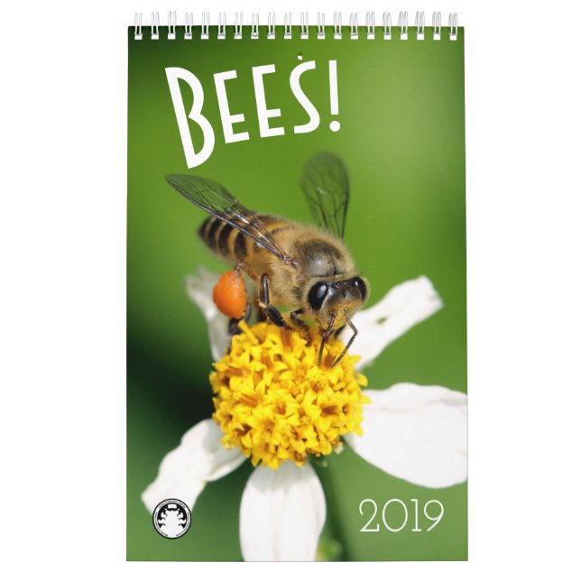 Calendrier Abeilles (Protection)
