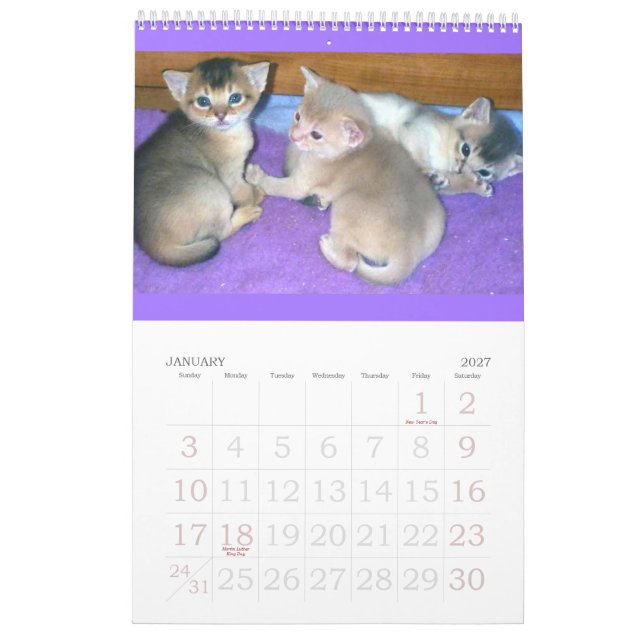 Calendrier abyssinien de chatons et de chats (Jan 2027)