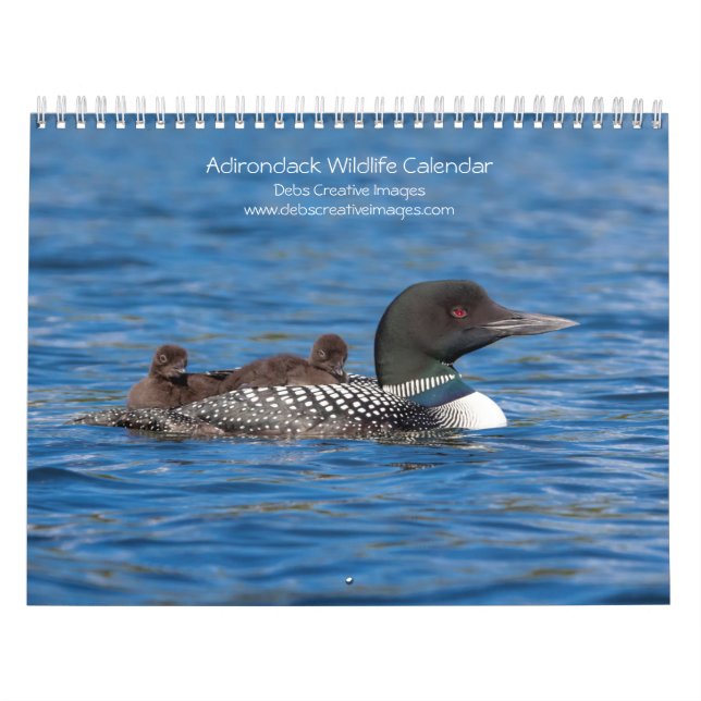 Calendrier Adirondack Wildlife 2026 (Protection)
