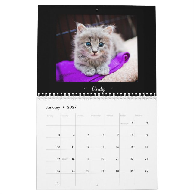 Calendrier adoptif de 2015 Felines (Jan 2027)