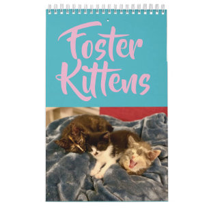 Calendrier adoptif du chaton 2019
