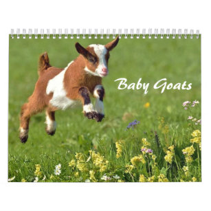 Fournitures De Bureau Chevre Bebe Zazzle Fr Fournitures De Bureau Chevre Bebe Zazzle Fr