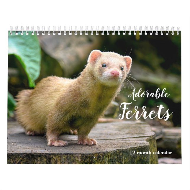 Calendrier Adorable Ferrets 2026 (Protection)