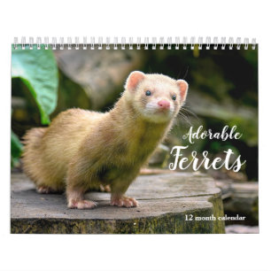 Calendrier Adorable Ferrets 2026