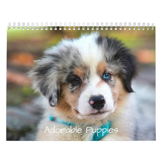 Calendrier Adorable Puppies 2026 Cute Dog (Protection)