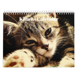 Calendrier Adorables Chatons Bengalis 2027