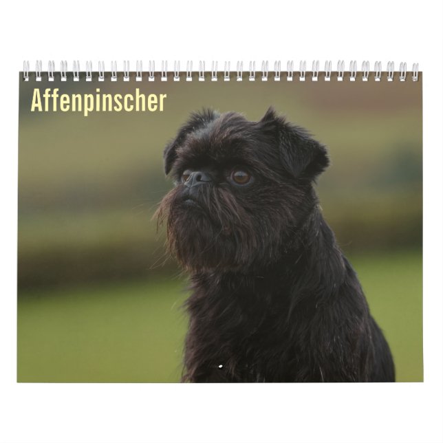 Calendrier Affenpinscher 2027 (Protection)