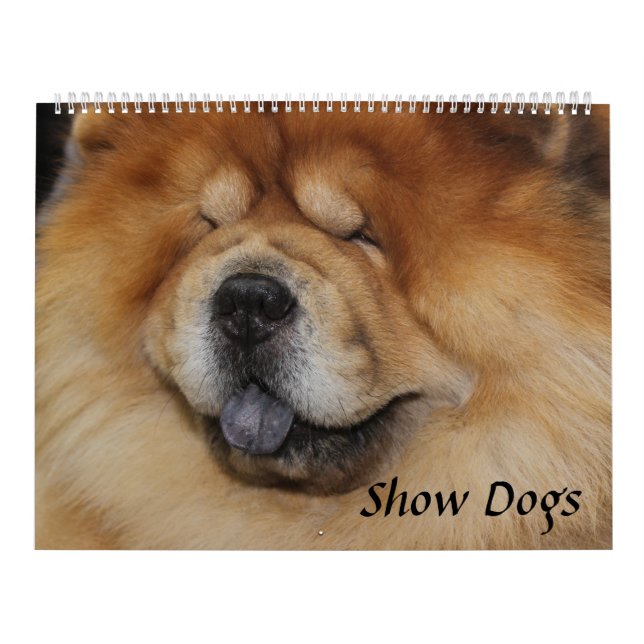 CALENDRIER AFFICHER LES CHIENS (Protection)