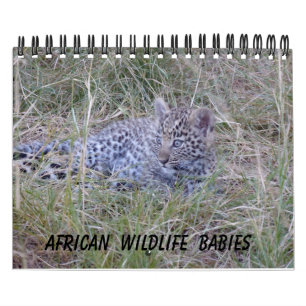 CALENDRIER AFRICAIN DE BÉBÉS DE FAUNE