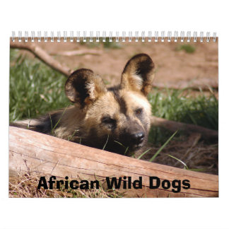 Calendrier africain de chiens sauvages, chiens