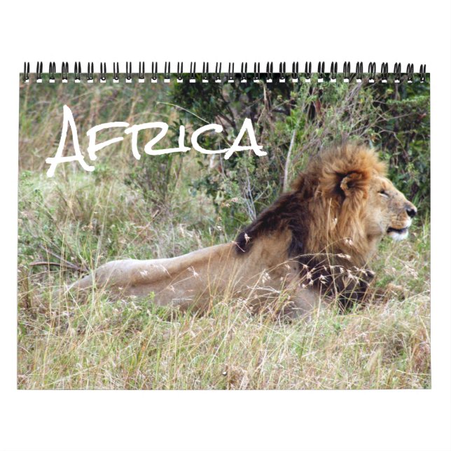 Calendrier afrique 15 mois 2027 (Protection)