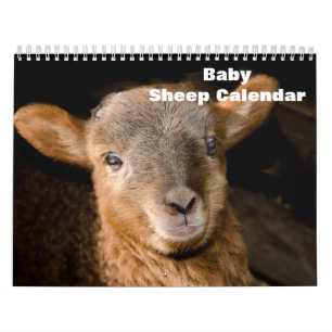 Calendrier Agneau à mouton pour bébé 2024