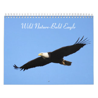 Calendrier Aigle sauvage de la nature