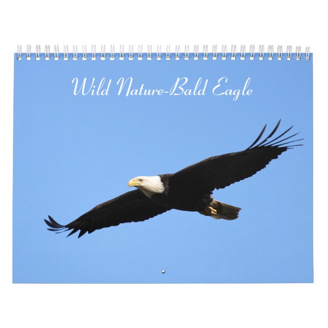 Calendrier Aigle sauvage de la nature (Protection)