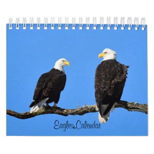 Calendrier Aigles 2
