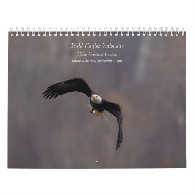 Calendrier Aigles à tête blanche 2026 (Protection)