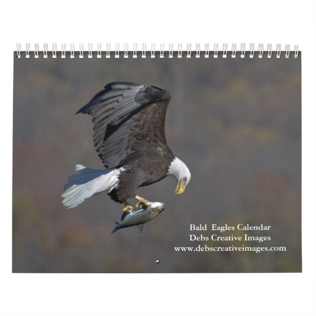 Calendrier Aigles à tête blanche 2026 (Protection)