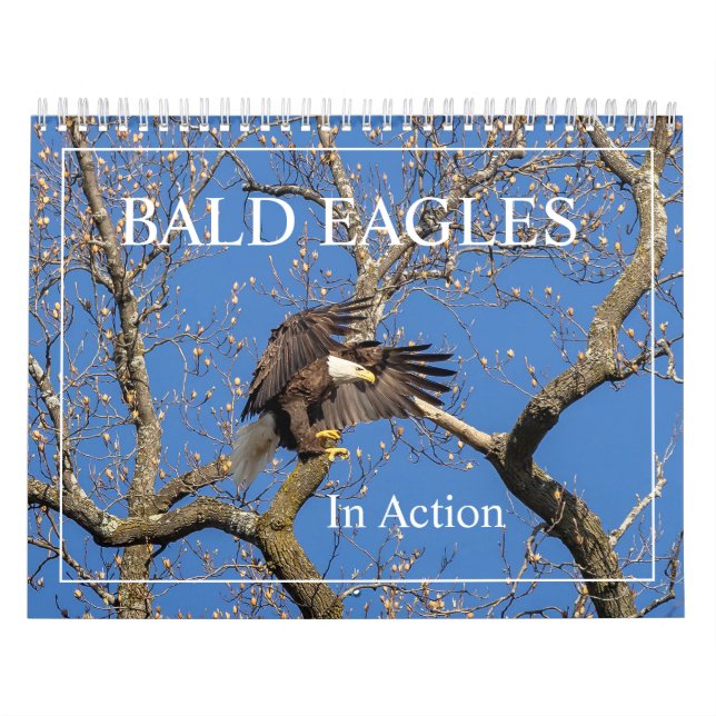 Calendrier Aigles chauds en action (Protection)