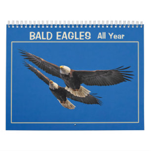 Calendrier Aigles chauds toute l'année