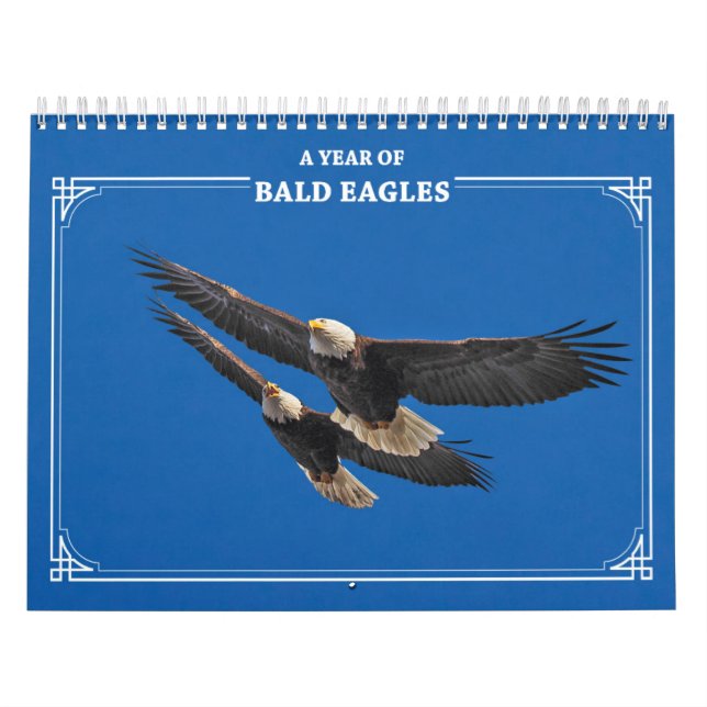 Calendrier Aigles chauds toute l'année (Protection)