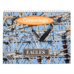 Calendrier Aigles de Conowingo