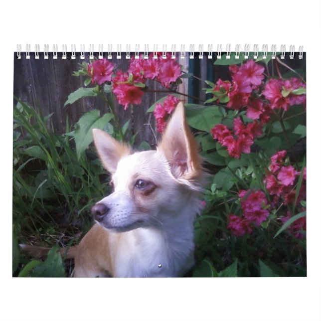 Calendrier "ajoutez vos propres photos    " (Protection)