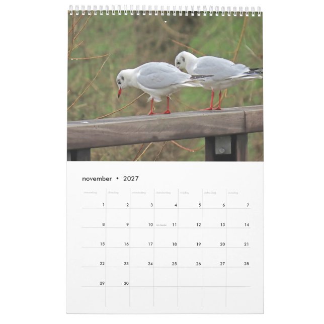 Calendrier Ajuster les oiseaux hollandais Calender (Nov 2027)