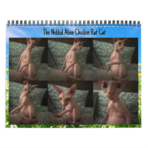 Calendrier Alien Nekkid 2024