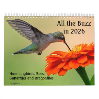 Calendrier All the Buzz 2026 Calendar