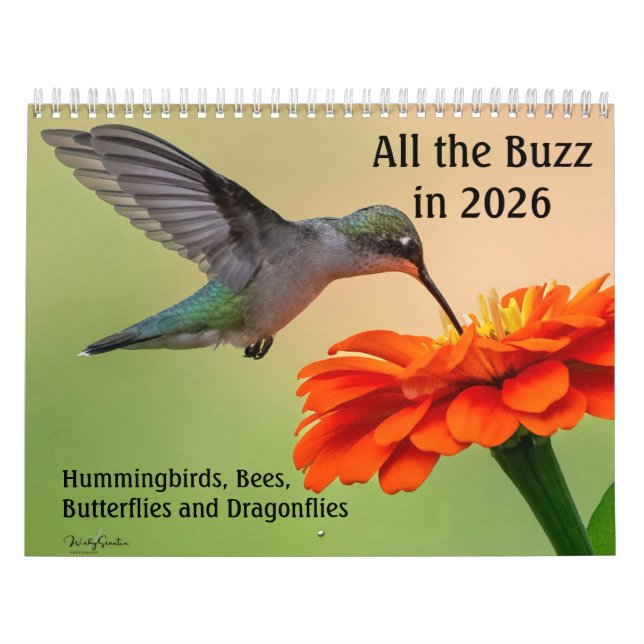 Calendrier All the Buzz 2026 Calendar (Protection)