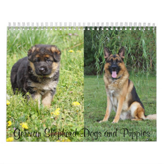 Calendrier allemand des Chiens de Berger et Chiots