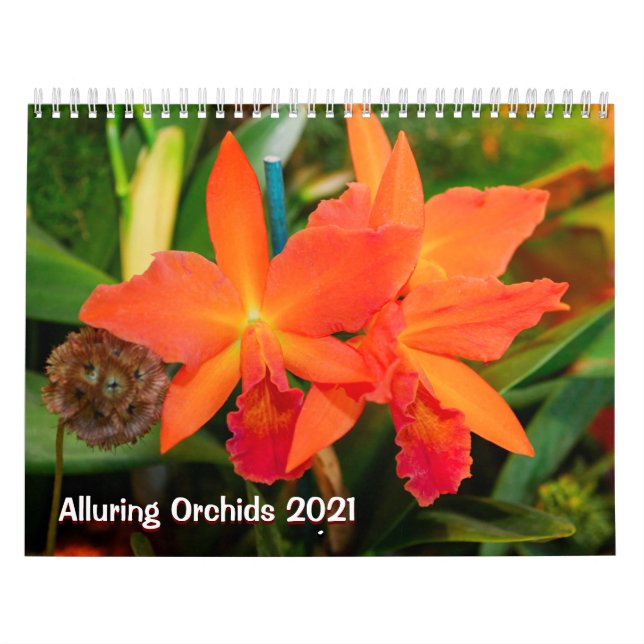 Calendrier Alluring Orchids 2021 (Protection)