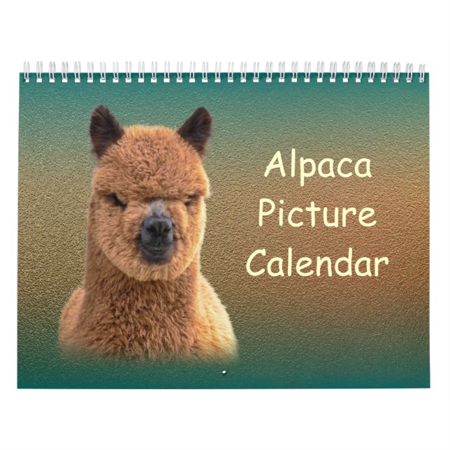 Calendrier Alpaca 2023 (Protection)