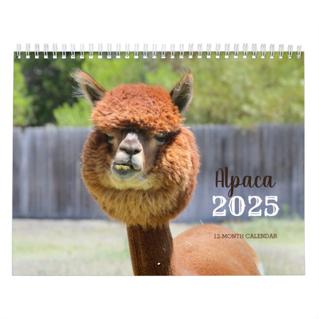 Calendrier Alpaca 2025 (Protection)