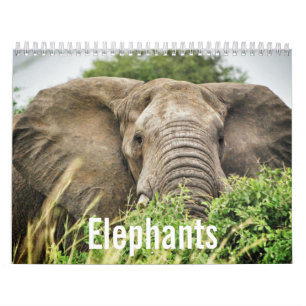 Calendrier Amateurs d'éléphants, photos couleur d'éléphants