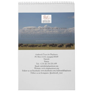 Calendrier Amboseli Trust pour le baby-boom des éléphants