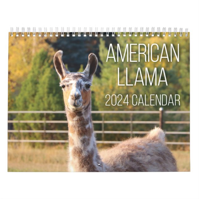 Calendrier américain Llama 2024 (Protection)