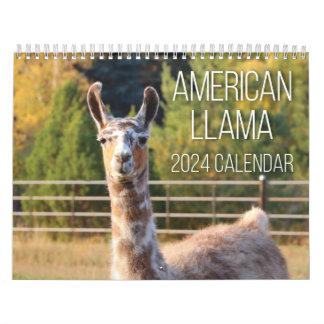 Calendrier américain Llama 2024